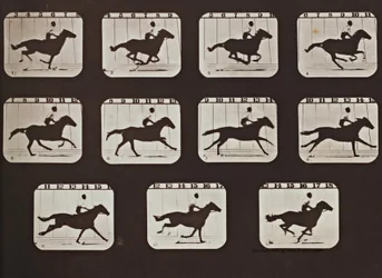 Sallie Gardner läuft aus Die Haltungen von Tieren in Bewegung